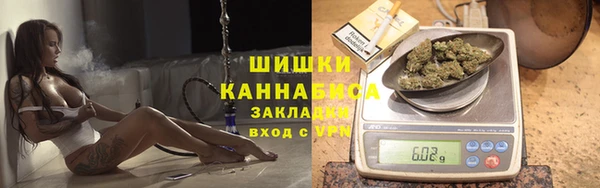 меф Переславль-Залесский