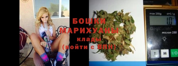 Альфа ПВП Пересвет