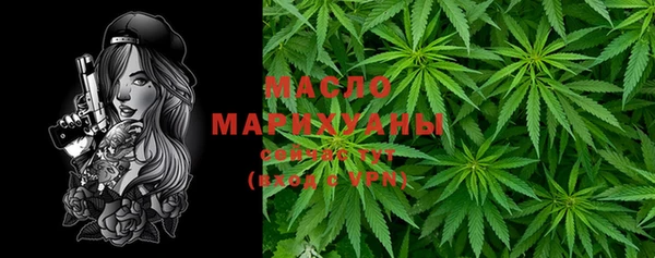 Альфа ПВП Пересвет