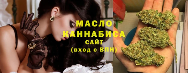 Альфа ПВП Пересвет