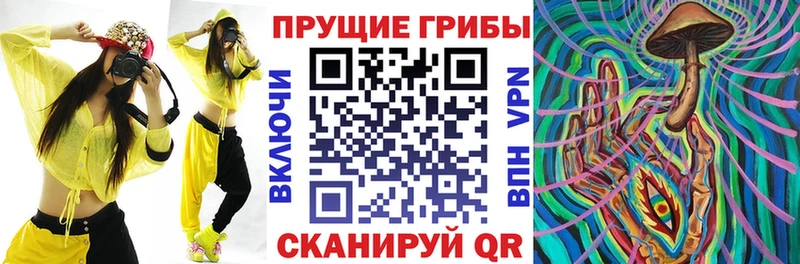 Псилоцибиновые грибы Psilocybine cubensis  Спас-Клепики 
